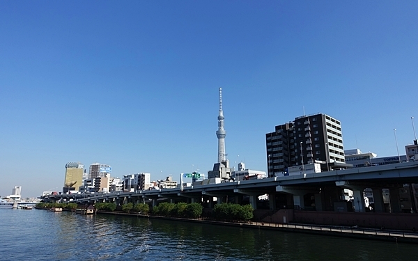 マノカフェ 蔵前の北欧風インテリアのカフェでこだわりごはん #おしゃれカフェ Vol.25