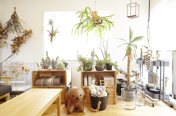 グリーンたっぷりのインテリアを楽しむ　【atsushiさん家のインテリア#01】