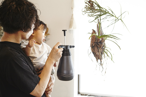 グリーンたっぷりのインテリアを楽しむ　【atsushiさん家のインテリア#01】