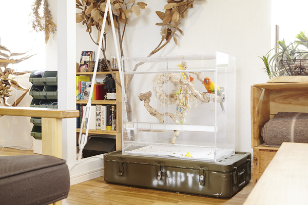 ペットのためのアイテムも、自由な発想で選ぶ 【atsushiさん家のインテリア #03】