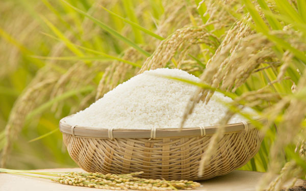 「米のとぎ汁」捨てたらソン！　部屋もお肌もキレイにする活用法