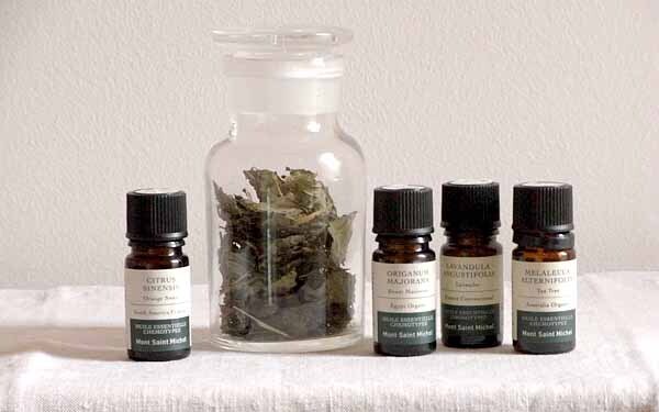 痛み、コリ、吹き出物…。日常のトラブルをさっとケアする植物の処方せん【植物のおまもり Vol.12】