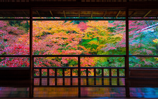 子どもも退屈しない「京都旅行」　子連れOKの観光スポット