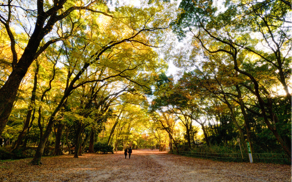 子どもも退屈しない「京都旅行」　子連れOKの観光スポット