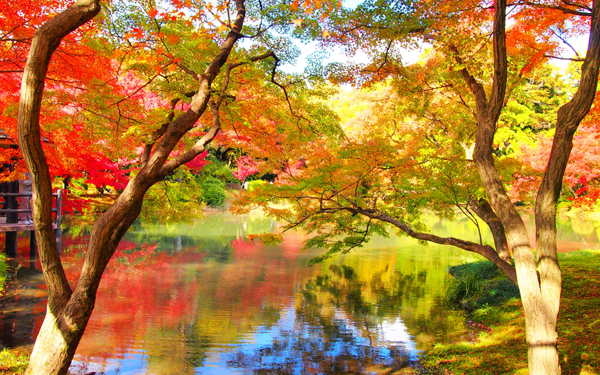 子どもも退屈しない「京都旅行」　子連れOKの観光スポット