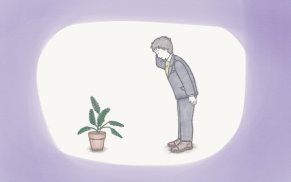 オジギソウだった息子【新米ママ歴14年 紫原明子の家族日記 第3話】