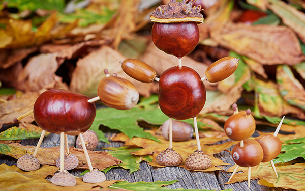 拾ったどんぐりが銀行に預けられる!?　クリスマス・オーナメント作りも紹介！