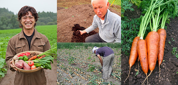 安心して離乳食作りを休もう！ 無添加・国産オーガニックベビーフード「ベビーオルジェンテ」とは