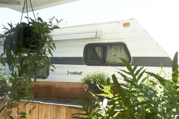 子育て中でも楽しめる「花のあしらい術」　花生師 岡本典子さん家のインテリア #03