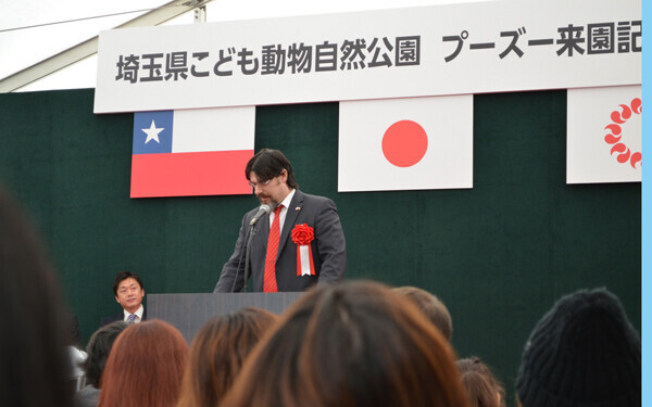 日本初公開！　世界最小と言われるシカ「プーズー」のかわいさを確かめてきた