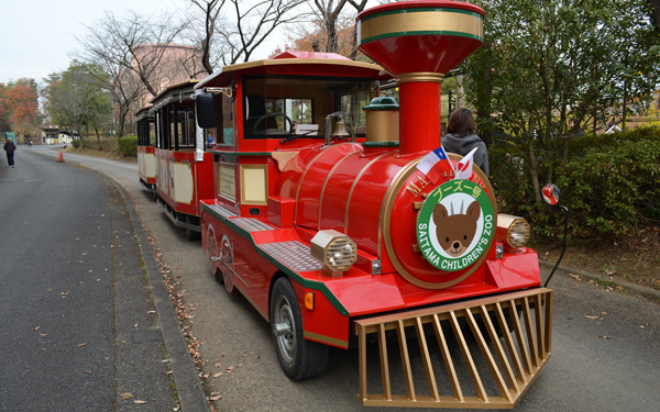 日本初公開！　世界最小と言われるシカ「プーズー」のかわいさを確かめてきた