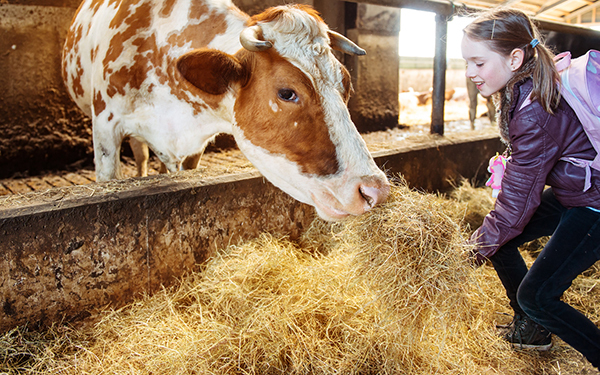 泊まることが思い出になる！　1万円以下でスペシャルな体験ができる宿泊施設