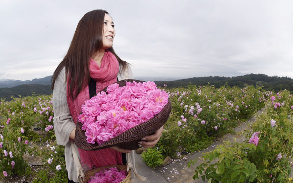 2017年ラッキーフラワー「ローズ」に幸せを感じる理由