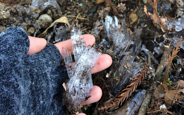 霜柱や氷を子どもと楽しもう！　四季を感じる「冬の公園」の楽しみ方
