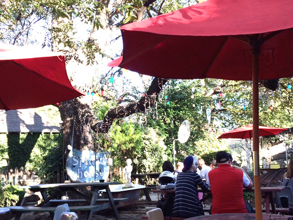 テキサス州・オースティンでオーガニックに触れる旅