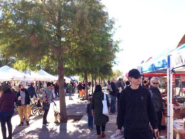 テキサス州・オースティンでオーガニックに触れる旅