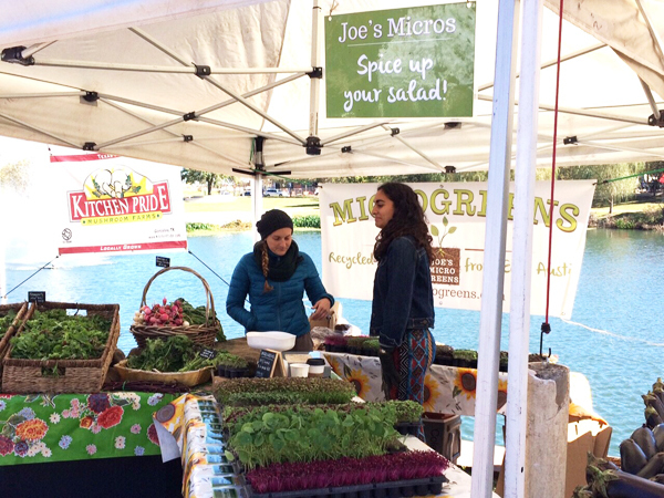テキサス州・オースティンでオーガニックに触れる旅