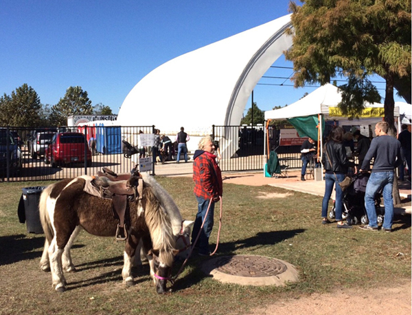 テキサス州・オースティンでオーガニックに触れる旅