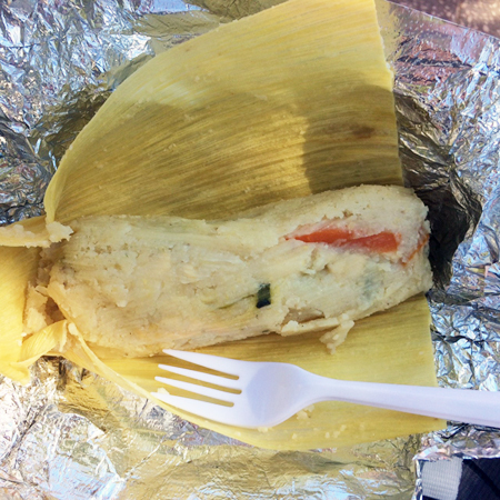 テキサス州・オースティンでオーガニックに触れる旅