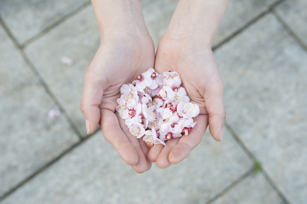 LINEやメールばかりで 「手紙」 が苦手なママたちへ　気軽にすらすら書けるコツ