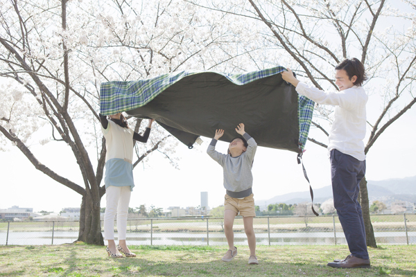 桜の季節がやってくる！　「子連れ花見」を成功させるためのコツ