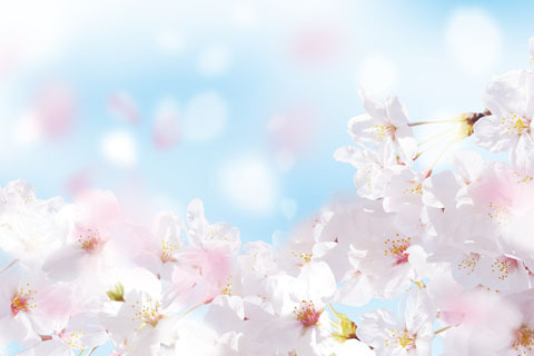 地図の書き方のコツを図解！  簡単に作れる通園・通学マップ【おうちで季節イベント お手軽アートレシピ Vol.9】