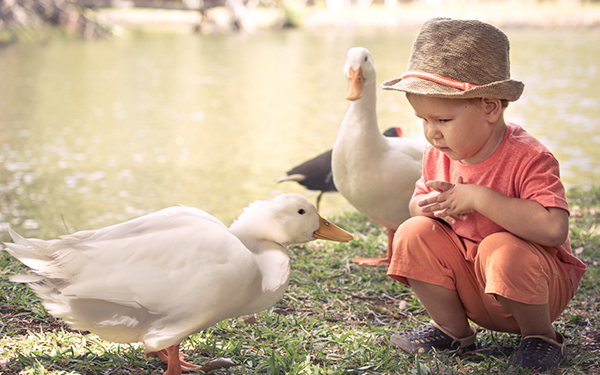 予想外の表情に思わず爆笑！　うちの子“初体験”エピソード