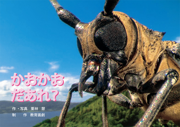 子どもが絵本に飽きたら！　お家で迫力の大自然が楽しめる「写真の紙芝居」3選