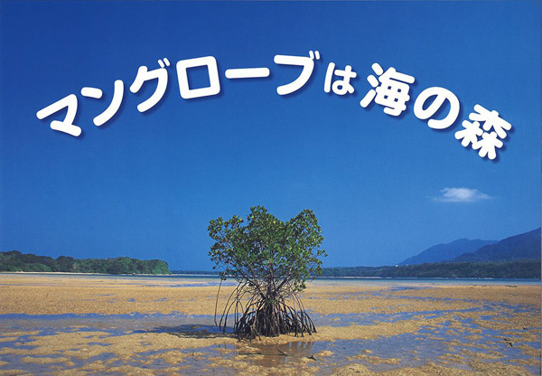 子どもが絵本に飽きたら！　お家で迫力の大自然が楽しめる「写真の紙芝居」3選