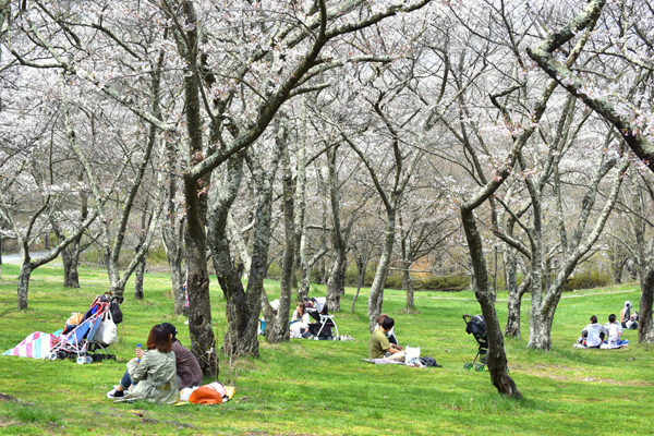 楽しいはずの宴が残念なことに？！　ママ友とのお花見「あ～、やっちまった」失敗談