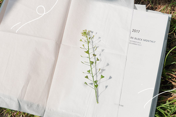 親子で春の散歩にGo!　野の花ブックマーク【おうちで季節イベント お手軽アートレシピ Vol.11】