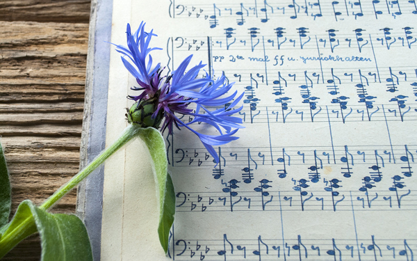 なぜ中居は香取の番組に出演したのか。SMAPのいない世界に起きた奇跡　