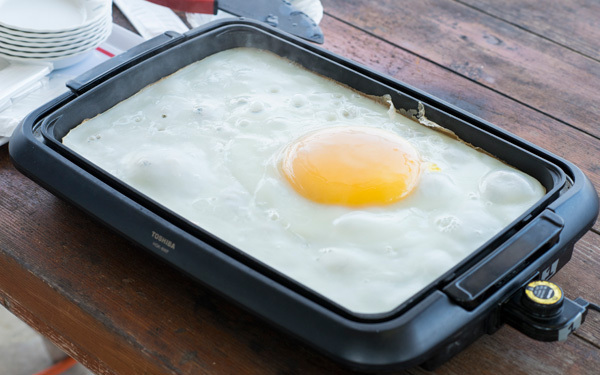 動物園では味わえない「ダチョウ牧場」にハマる人続出！ カピバラ、アルパカにも会える