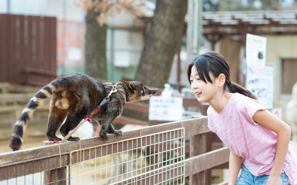 動物園では味わえない「ダチョウ牧場」にハマる人続出！ カピバラ、アルパカにも会える