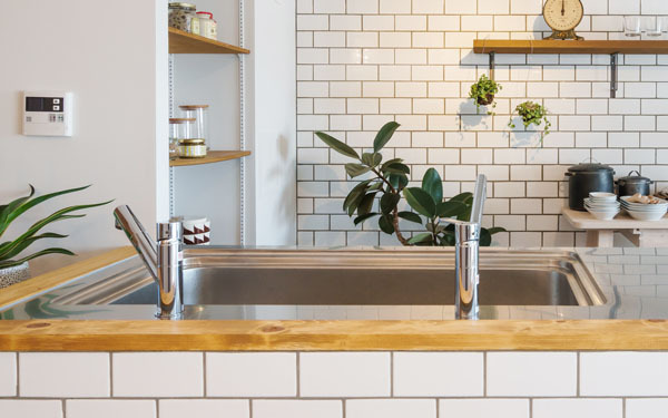 野菜の皮でシンクがピカピカに!?　「キッチン掃除」ができる意外なもの3選