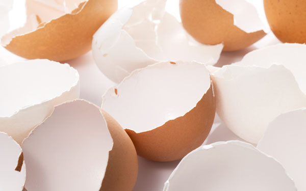 野菜の皮でシンクがピカピカに!?　「キッチン掃除」ができる意外なもの3選