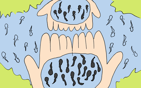 後編！　ゴールデンウィークの話「春のフィールドワーク」旅先の森でパパの自然教室【下請けパパ日記～家庭に仕事に大興奮～ Vol.15】