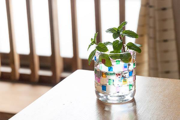 ベビーがいても安心して飾れる！　壁掛けグリーンポット【おうちで季節イベント お手軽アートレシピ Vol.14】