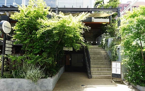 親子で寝転んで本を読もう！　ピクニック気分が味わえるカフェ  #代官山  #Bird #おしゃれカフェ Vol.37