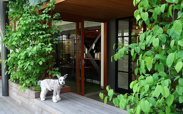 親子で寝転んで本を読もう！　ピクニック気分が味わえるカフェ  #代官山  #Bird #おしゃれカフェ Vol.37