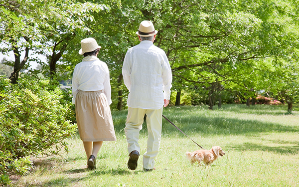 どこに建てる？　誰が負担する？　親が元気なうちに話しておきたいお墓問題