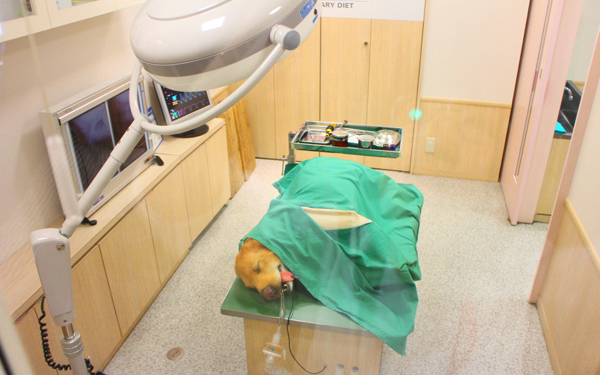 もっと知りたいキッザニア＆アウトオブキッザニアの秘密をインタビュー【ハロー！裏方さん～子どもの笑顔をつくる達人たち～ Vol.8】