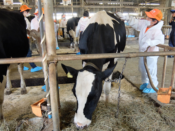 もっと知りたいキッザニア＆アウトオブキッザニアの秘密をインタビュー【ハロー！裏方さん～子どもの笑顔をつくる達人たち～ Vol.8】