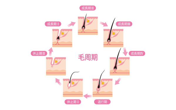 小学生で「脱毛」はアリ？ 皮膚科医が教える、成長期のムダ毛ケア