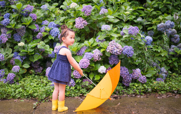 年に1度。梅雨が大好きな「生き物たち」と出会える絵本【親子で楽しむ絵本の時間】 第9回
