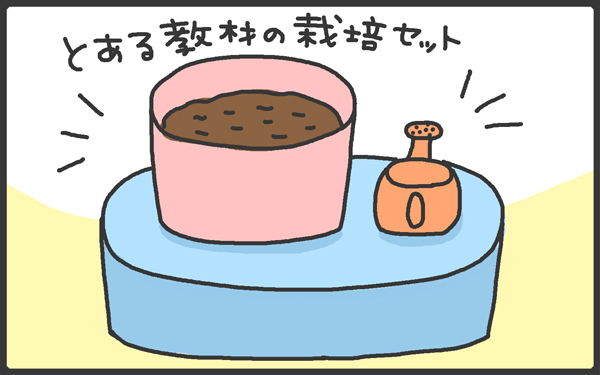 男の子は飽き性なの?!　まさかの栽培セットでプチ事件発生！【メンズかーちゃん～うちのやんちゃで愛おしいおさるさんの物語～ 第14回】