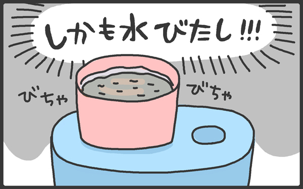 男の子は飽き性なの?!　まさかの栽培セットでプチ事件発生！【メンズかーちゃん～うちのやんちゃで愛おしいおさるさんの物語～ 第14回】