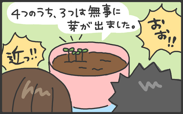 男の子は飽き性なの?!　まさかの栽培セットでプチ事件発生！【メンズかーちゃん～うちのやんちゃで愛おしいおさるさんの物語～ 第14回】