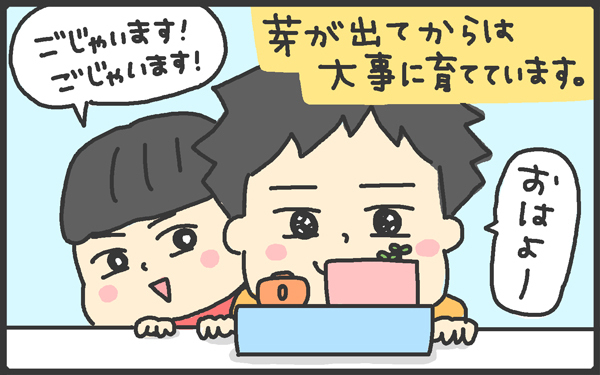 男の子は飽き性なの?!　まさかの栽培セットでプチ事件発生！【メンズかーちゃん～うちのやんちゃで愛おしいおさるさんの物語～ 第14回】