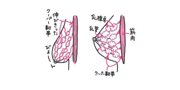 産後は美乳づくりの最大のチャンス！ 「垂れない！ しぼまない！ ママになっても美おっぱい」基礎編